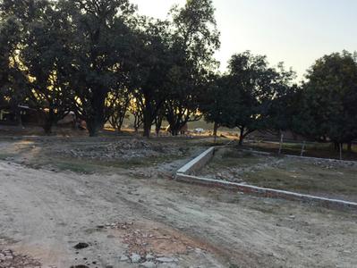 Image of 690 Sq.ft Residential Plot / Land for sale in Rajajipuram, Lucknow for Rs. 828000
