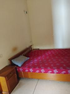 Bedroom Image of 800 Sq.ft 1 BHK Builder Floor for rent in Sector 2 Panchkula for Rs. 22000