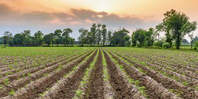 Image of 6399 Sq.ft Residential Plot / Land for sale in Kasindra, Ahmedabad for Rs. 37754100
