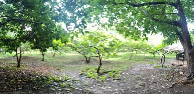 Image of 6865 Sq.ft Residential Plot / Land for sale in Kodiyat, Udaipur for Rs. 27500000