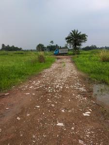 Wander Valley Internal Roads 1
