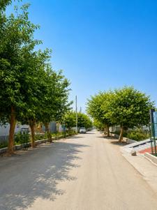 Image of 162 Sq.ft Residential Plot / Land for sale in Sector 151, Noida for Rs. 26500000