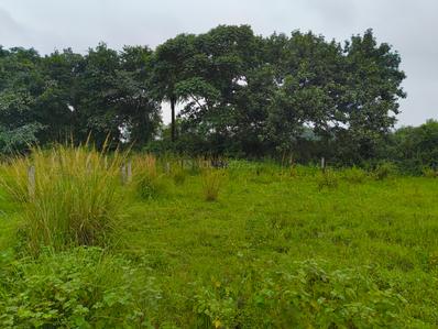 Image of 2208 Sq.ft Residential Plot / Land for sale in GM Complex, Brajrajnagar for Rs. 1950000