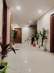 Hall Image of Noida nest  in Sector 41, Noida