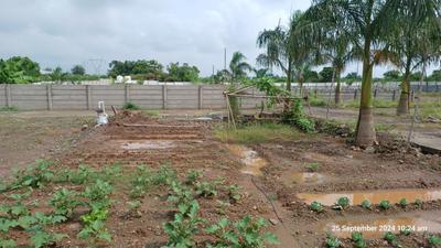 Image of 1950 Sq.ft Residential Plot / Land for sale in Theur, Pune for Rs. 2400000