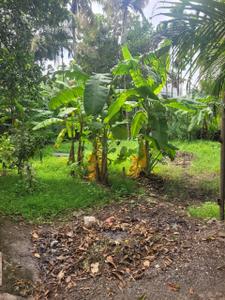 Image of 386 Sq.ft Residential Plot / Land for sale in Edappally, Kochi for Rs. 1500000
