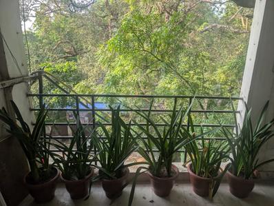 Balcony Image of 900 Sq.ft 2 BHK Apartment / Flat for rent in Lajpat Nagar New Delhi for Rs. 55000