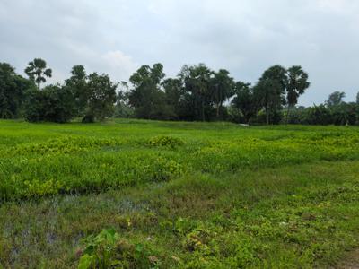 Image of 3600 Sq.ft Residential Plot / Land for sale in Natures Paradise, Joka, Kolkata for Rs. 1000003