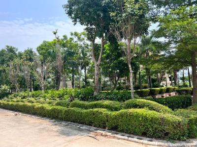 Image of 265 Sq.ft Residential Plot / Land for sale in Omaxe Phase 3 Mullanpur, New Chandigarh, Chandigarh for Rs. 40000000