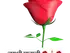 RR