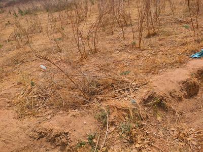 Commercial Plot