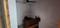 Others image of 10000.0 Sq.ft  Ready to use Office Space for rent in Hyderguda for 400000
