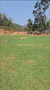 Others image of 45738.0 Sq.ft   Commercial Plot for sale in Punkunnam for 81375000
