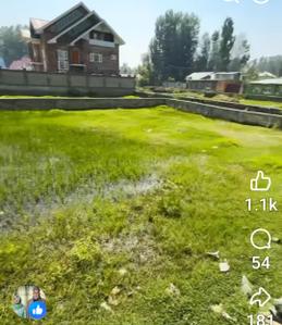 Commercial Plot