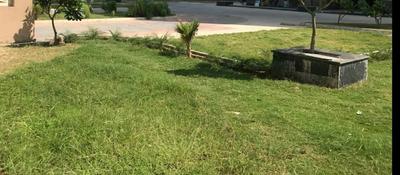 Commercial image of 200.0 Sq.ft   Shop for rent in Virat Nagar for 12000