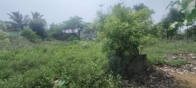 Others image of 1000.0 Sq.ft Commercial Plot for sale in Melathikkan for 4500000