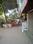 Others image of 350.0 Sq.ft   Shop for rent in Kharghar for 28000