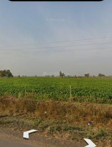 Commercial Plot