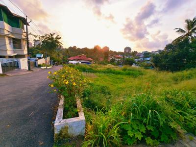 Commercial Plot
