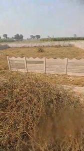 Others image of 1100.0 Sq.ft   Commercial Plot for sale in Khurja for 16000000
