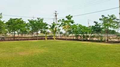 Commercial Plot