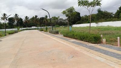 Commercial Plot