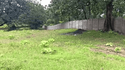 Commercial Plot