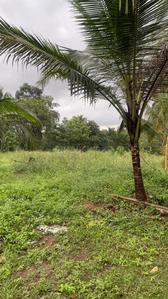 Others image of 65340.0 Sq.ft Commercial Plot for rent in Kottakkal for 115000