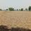 Others image of 150000.0 Sq.ft   Commercial Property for sale in Rohta   for 175500000