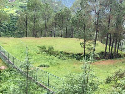 Commercial Plot