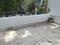 Others image of 275.0 Sq.ft  Ready to use Office Space for rent in Viman Nagar for 28000