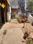 Others image of 600.0 Sq.ft  Ready to use Office Space for sale in MIDC Industrial Area for 13500000