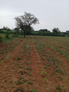 Commercial Plot