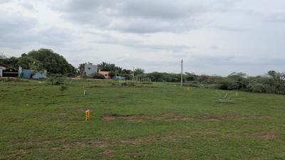 Others image of 1350.0 Sq.ft   Commercial Plot for rent in Nenmeli for 18000