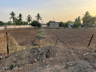 Commercial Plot