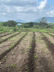 Others image of 20000.0 Sq.ft   Commercial Plot for rent in Pirangut for 25000