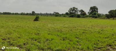 Commercial Plot