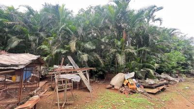 Others image of 14500.0 Sq.ft   Commercial Plot for sale in Thombrewadi for 85000000