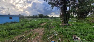 Commercial Plot