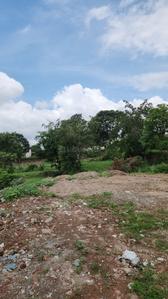 Others image of 1125.0 Sq.ft   Commercial Plot for sale in Bargodam for 4200000