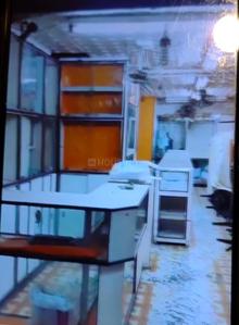 Others image of 250.0 Sq.ft   Shop for sale in Kankurgachi for 4500000