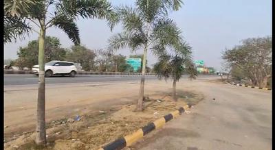Commercial Plot