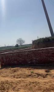 Commercial Plot
