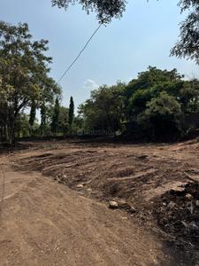 Commercial Plot