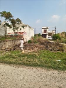 Commercial Plot