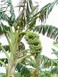 Others image of 6534.0 Sq.ft   Commercial Plot for sale in Hebbal for 1900000