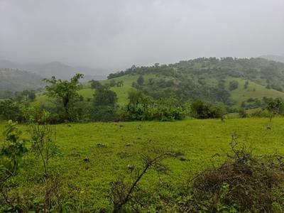 Others image of 40000.0 Sq.ft   Commercial Plot for sale in Velhe Bk. for 700000