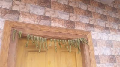 Others image of 700.0 Sq.ft  Ready to use Office Space for rent in Boduppal for 25000