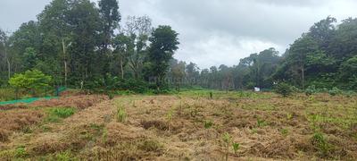 Others image of 225640.0 Sq.ft   Commercial Plot for sale in Mullayanagiri for 11400000