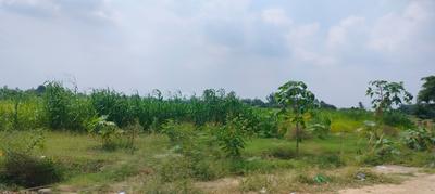 Others image of 216000.0 Sq.ft   Commercial Plot for sale in Shahbazpur Dor for 150000000